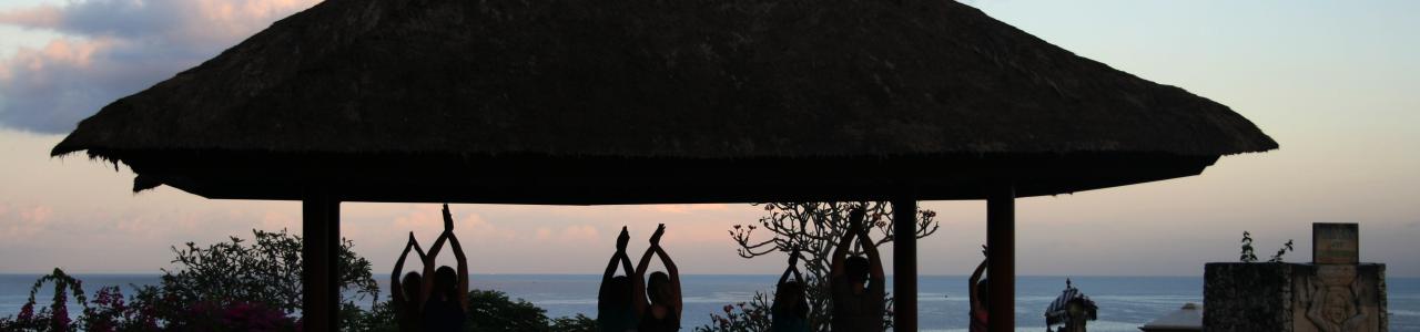 Wellness Tours